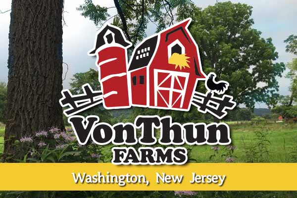 Sunflower Trail at Von Thun Farms in New Jersey Is Open for the Season -  Thrillist