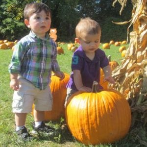 PUMPKIN PATCH:
Late Sept. - Halloween