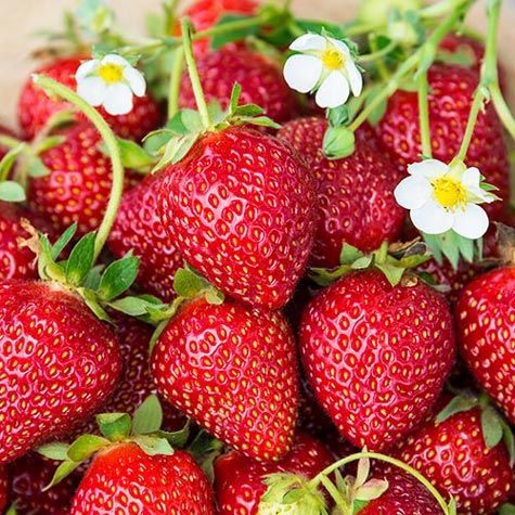 astrawberry