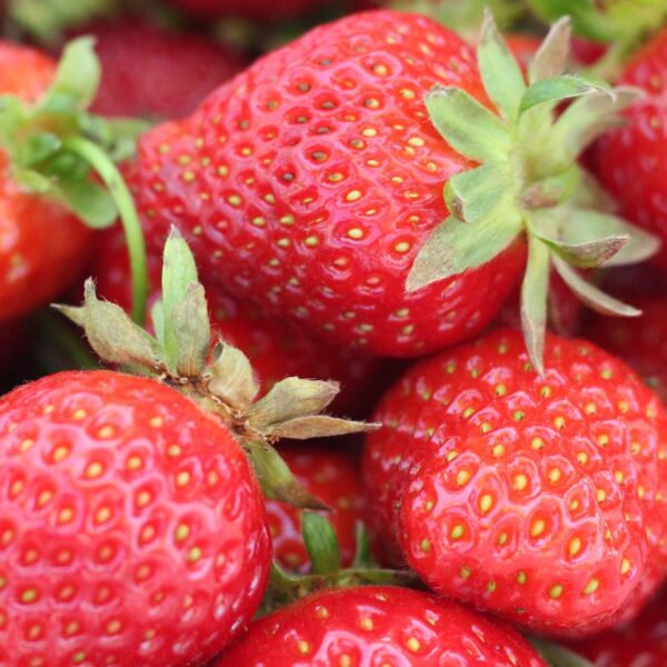 Strawberries_Website