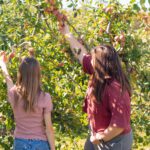 pumpkin picking field trip nj