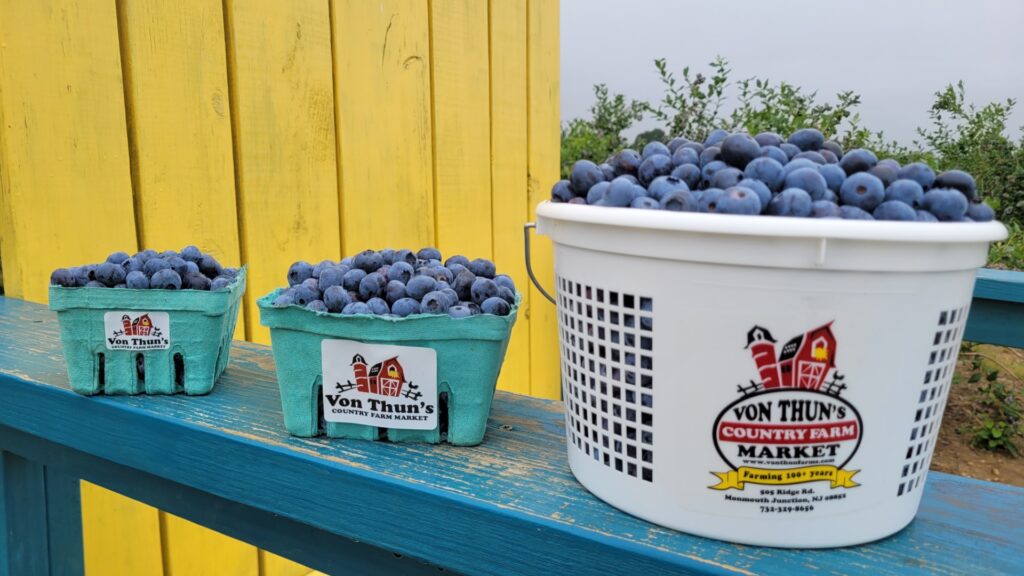 Blueberry Festival Von Thun Farms