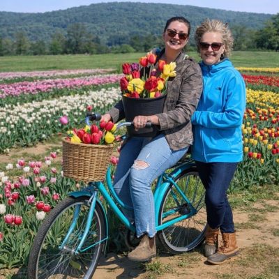 Screenshot Screenshot