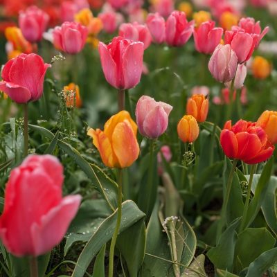 PXL_20240420_153709077.PORTRAIT