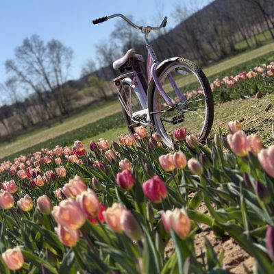 IMG_20260412_145822 IMG_20260412_145822